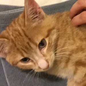 Meet your Posher, Beth